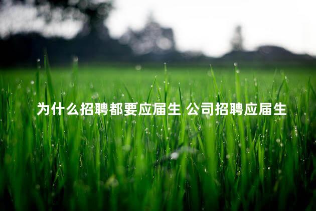 为什么招聘都要应届生 公司招聘应届生的好处